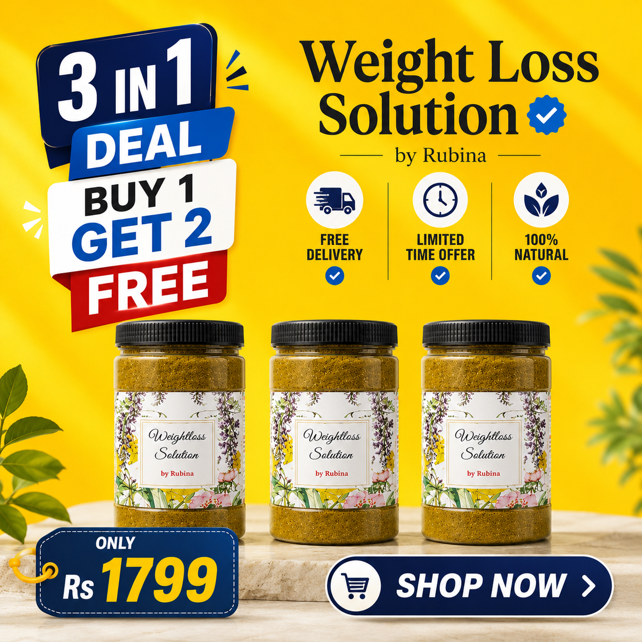 Weight loss solution (3 month plan )